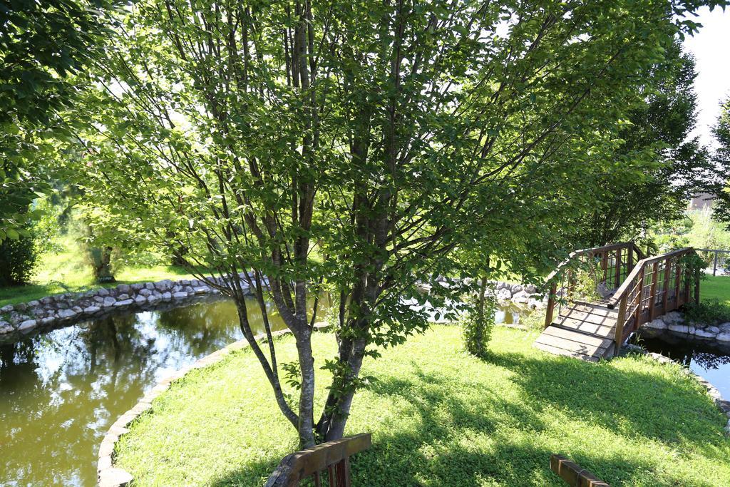 Isola Di Wight Bed & Breakfast San Michele al Tagliamento Ngoại thất bức ảnh